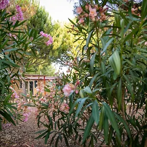 Campeggio Spalla Country, Valderice